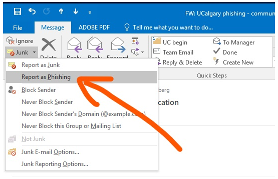 Show where Junk Mail is