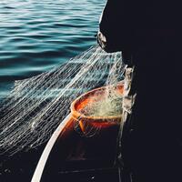 Fisherman pulling in a net. 