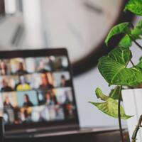 Laptop screen beside a plant.